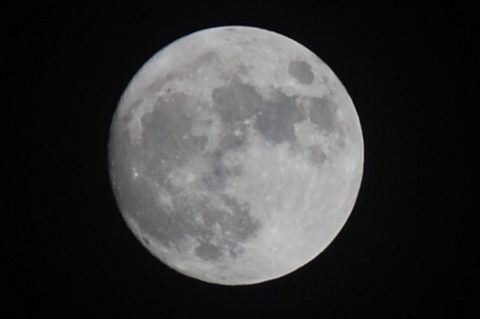 Moon